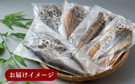 【全2回定期便】対馬 一汐干し お魚 セット 10枚 新鮮 アジ 穴子 カマス 連子鯛 干物 海産物 朝食 冷凍 [WAI103]