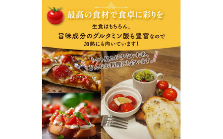 ＜特別栽培農産物＞ファームサイドのこだわりミニトマト 1kg 野菜 特別栽培 農産物 サラダ ピクルス 炒め物 食品 本庄産 関東 F5K-509
