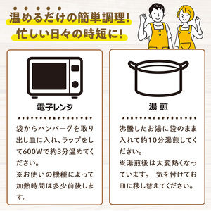 デミグラスハンバーグ(計3.4kg・170g×20個) 豚肉  牛肉  冷凍 個包装 国産 【C-28】【株式会社 英楽】