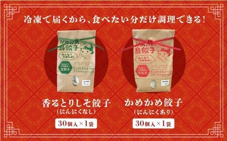 かめかめ島餃子の【人気の売れ筋セット】餃子60個 | 香るとりしそ餃子(若鶏・にんにくなし) かめかめ餃子(豚肉・にんにくあり) | 包みたて 工場直売 餃子 シママース やんばる若鶏 | 簡単調理 手軽 | 豚肉 鶏肉 出汁 しそ 沖縄 お取り寄せ グルメ