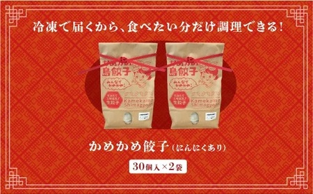 かめかめ島餃子 (豚肉・にんにくあり) 30個 × 2袋 | 包みたて 工場直売 餃子 シママース | 簡単調理 手軽 | 餃子 豚肉 出汁 沖縄 お取り寄せ グルメ 冷凍 にんにく