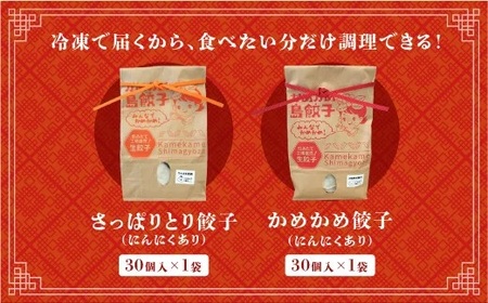 かめかめ島餃子 (豚肉・やんばる若鶏/にんにくあり) 30個 × 2袋 | さっぱりとり餃子(若鶏・にんにくあり) かめかめ餃子(豚肉・にんにくあり) | 包みたて 工場直売 餃子 シママース | 簡単調理 手軽 | 餃子 豚肉 鶏肉 出汁 沖縄 お取り寄せ グルメ 冷凍