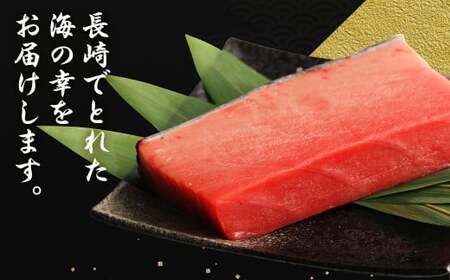 【12ヶ月定期便】 長崎県産 本マグロ「中トロ」約500g【大村湾漁業協同組合】