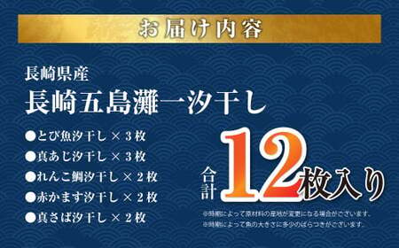 【ふるなびWEEK対象】【7営業日以内発送】長崎五島灘一汐干し 合計12枚 干物 ひもの 魚介 海鮮 魚 おつまみ おかず 肴