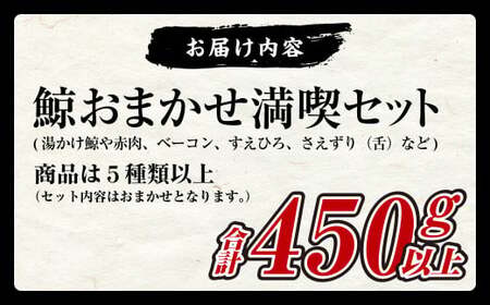 【7営業日以内発送】鯨 おまかせ 満喫セット 5種類以上 約450g以上 食べ比べ セット くじら 鯨肉 おつまみ 珍味
