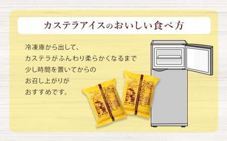 バラエティ番組出演 長崎カステラアイス (バニラ) 計10個  ／ ニューヨーク堂 カステラアイス カステラ アイス デザート スイーツ お菓子 おやつ 冷凍 人気 ご当地 お取り寄せ 長崎 長崎県 長崎市
