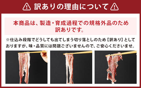 【訳あり】長崎県産「競り美豚」モモ 切り落とし 2.5kg (500g×5パック) ／ 競美豚 競り美豚 豚肉 豚 国産 国産豚 訳アリ 理由あり わけあり 肉のマルシン