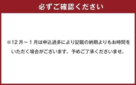 ちゃポリタン10食セット 新名物 ちゃんぽん かまぼこ