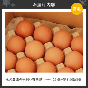 永光農園の平飼い有精卵　25個+割れ保証5個　たまご