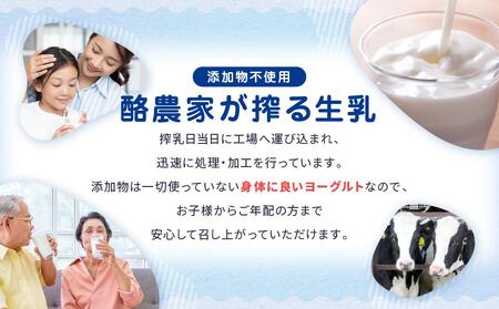 なっとくのむヨーグルト　900ml×6本入　飛騨高山 白啓酒店 JS005