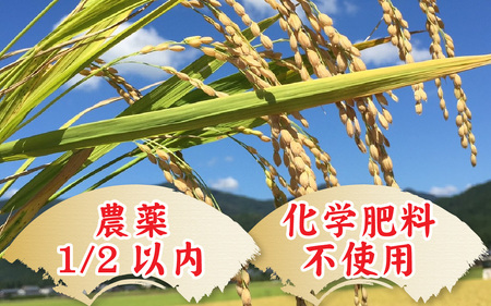 【令和7年産】減農薬・化学肥料不使用 特別栽培 あきさかり 5kg 米 白米