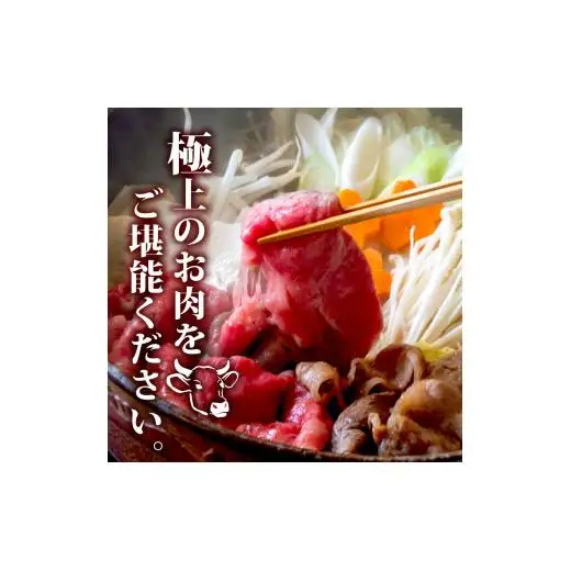 【 黒毛和牛 】 黒毛和牛食べ比べ2回 1.6kg