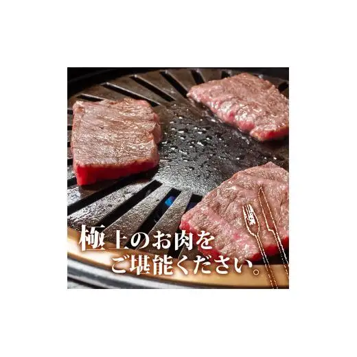 【 黒毛和牛 】 黒毛和牛食べ比べ2回1860g