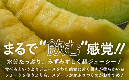 【先行予約】 マスクメロン 4Lサイズ以上 1玉 （約2～2.5kg） 虜になる美味しさにめろめろン? 大切な人の笑顔がみたいあなたへ 【2026年10月下旬以降順次発送予定】【メロン めろん フルーツ デザート 果物 くだもの 果実 青肉 糖度 甘い ジューシー お取り寄せ グルメ 産地直送】 [A-16204]