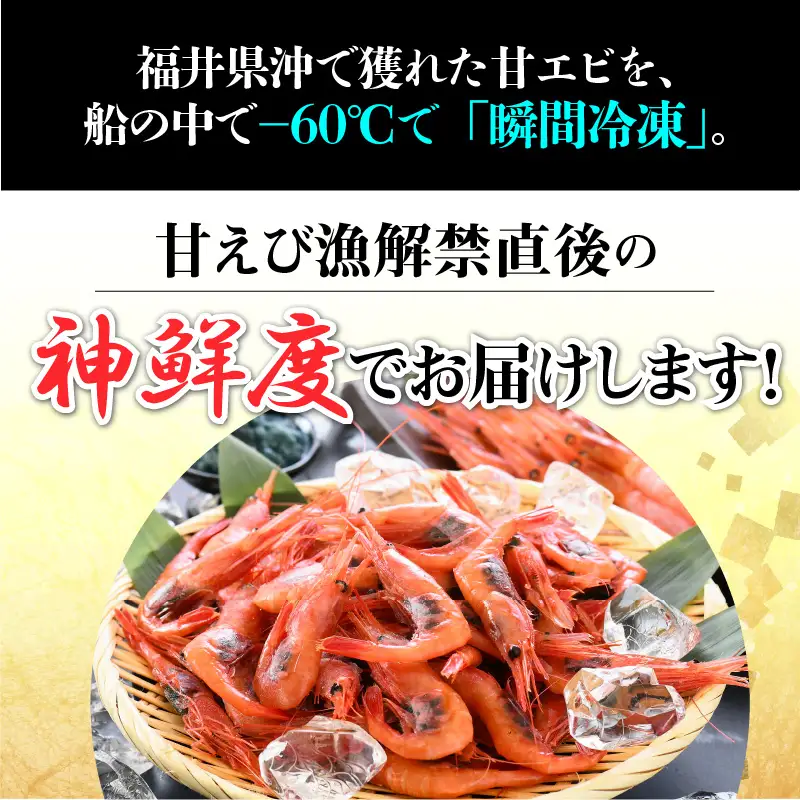 【訳あり】甘えび 約1kg 漁船直送☆船内瞬間冷凍【ワケアリ 海老 えび エビ アマエビ あまえび 甘海老 殻付き 有頭 生食 刺身 冷凍 魚介類 魚貝類 産地直送 坂井市産 福井県産 国産 三国 人気】 [A-23105]
