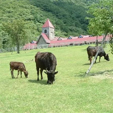 「世界農業遺産認定!」黒毛牛の但馬牛すき焼・しゃぶしゃぶ用　(もも300g・バラ200g)【配送不可地域：離島】【1060306】