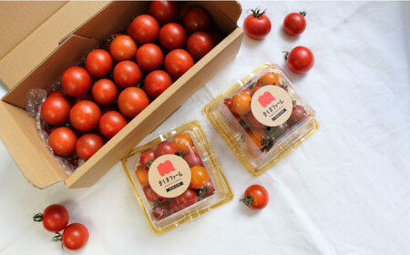 【ふるさと納税】＜佐川町産フルーツ・野菜 定期便（年3回）＞高知県 佐川町 トマト 梨 和梨 栗 夢甘栗 果物 お申込みの翌期の果物（野菜）から発送 フレッシュ 旬 生栗 ミニトマト 高糖度 フルティカ　トマトミックス　