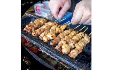 【ふるさと納税】【生・冷凍】四万十鶏のやきとり 計40本 国産鶏 焼き鳥 焼鳥串 5種（せせり もも にんにくま ねぎま かわ 各1本）5本1袋 ×8パック 銘柄鶏 タレ・塩付 BBQ 焼いてない ソロキャン 串もの ヤキトリ 日鶏 hidori