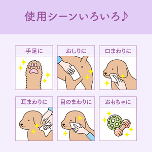 キミおもい 肌にやさしい ウエットティシュー ノンアルコール 除菌 60枚×3P 犬 猫 ペット ふき取り 無添加 アルコールフリー パラベンフリー 着色料不使用 無香料 富士市 [sf006-006]