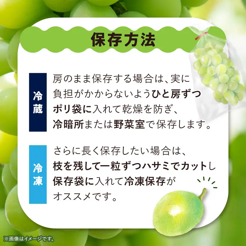 【訳あり】 池田青果のシャインマスカット2房～3房　1kg ふるさと納税【配送不可地域：離島】【1544089】