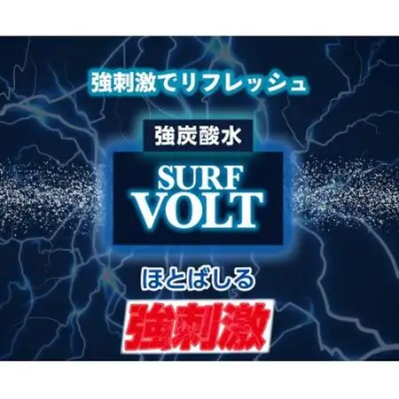 【毎月定期便】【関東のみお届け】強炭酸水レモン1L 12本 計12L サーフVOLT(レモン)全3回【配送不可地域：離島・北海道・沖縄県・東北・信越、北陸・東海・近畿・中国・四国・九州】【4055693】