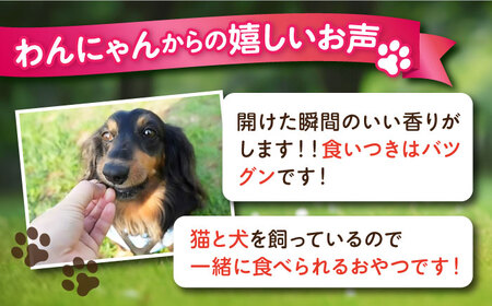 【全3回定期便】鹿肉ジャーキー（80g×2袋） ペット 犬 猫 手作り 国産 てづくり こだわり ドッグフード  ドッグフード ペットフード 横須賀 【ペットフードYM japan】 [AKEX027]