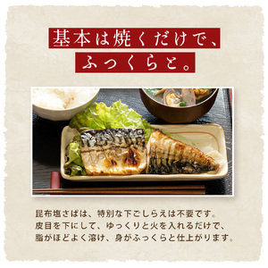 訳あり 昆布塩さば 4kg