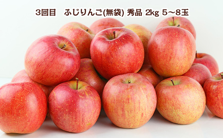 【定期便3回】やまがた冬の果物 満喫便 FY24-300