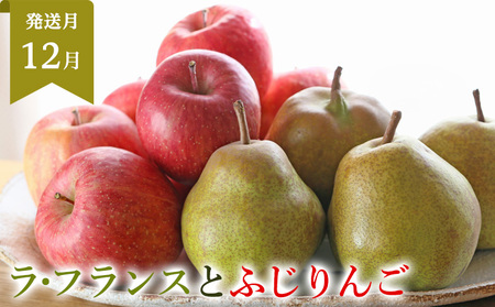 【定期便3回】山形まるごと！人気のくだものベスト3 FZ25-959