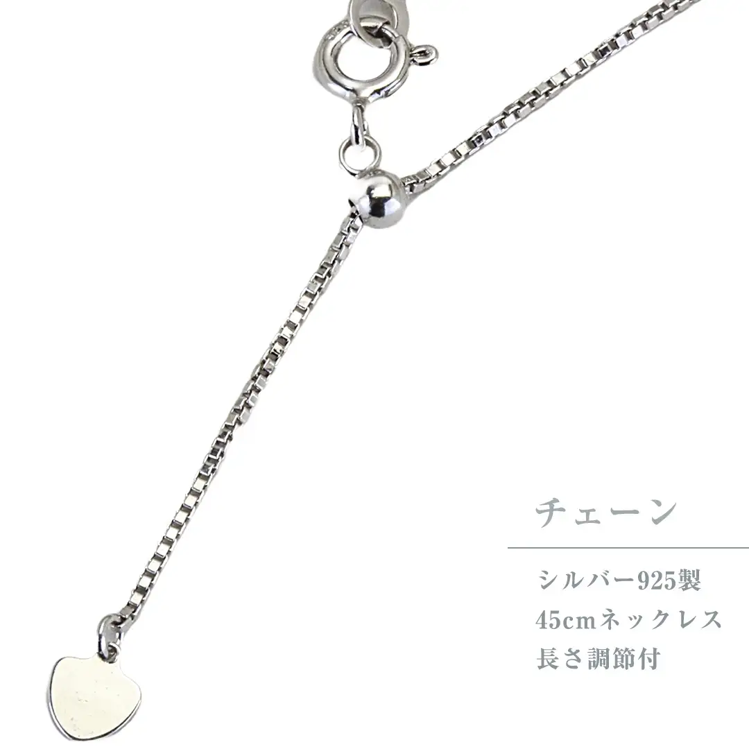 Pt1000 純プラチナ フォースコイン 1/10oz ペンダントトップ  プラチナ ネックレス ジュエリー アクセサリー ギフト プレゼント 贈り物 [AH120sa]