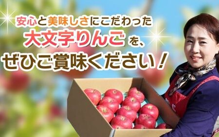 【果汁100％】平泉りんごジュース1箱(30本入り) 【dma100-195x30x1B】
