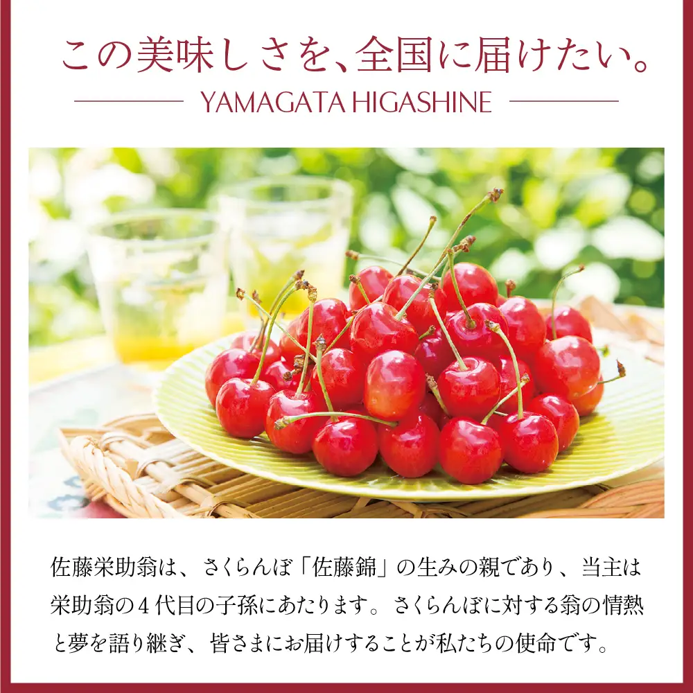 さくらんぼ 佐藤錦 100% ジュース (500ml×2本) ジュース