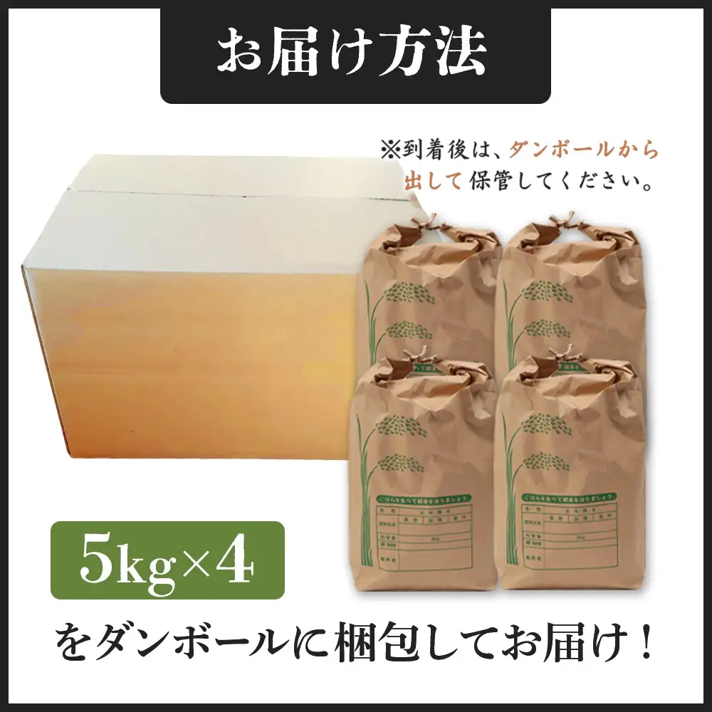 【新米予約】 2026年産 ゆめぴりか 20kg（5kg×4袋）【2010301】