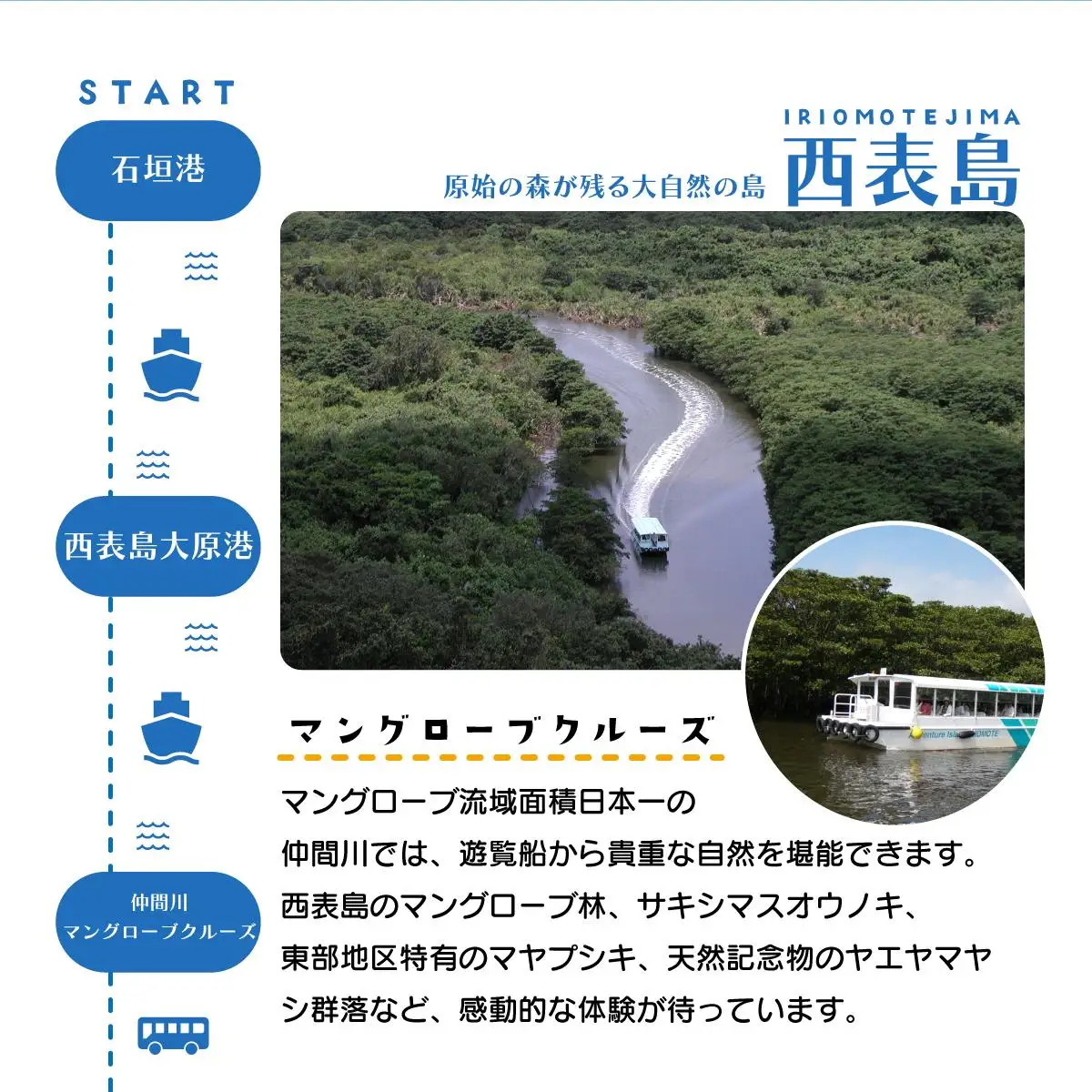 西表島・由布島・竹富島３島めぐり（竹富フリープラン)