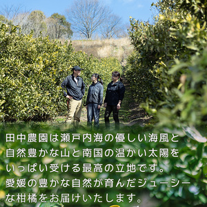  【2027年2月下旬頃から順次発送】【デコポンと同品種】家庭用 不知火 しらぬい 約5kg デコポン【TNN0033】