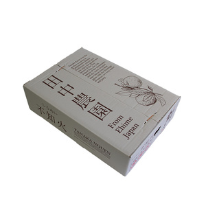  【2027年1月上旬から順次発送】伊予柑 いよかん 約10kg  秀品 柑橘類 先行予約 贈答用 ギフト フルーツ 柑橘類 先行予約 果物 フルーツ みかん イヨカン 宮内伊予柑 人気 おすすめ 愛媛 松山 田中農園【TNN0052】
