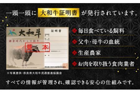 大和牛ヒレステーキ用 160g×3枚 大和牛専門店 一 ステーキ ヒレ ヘレ 黒毛和牛 和牛 牛肉 31-001