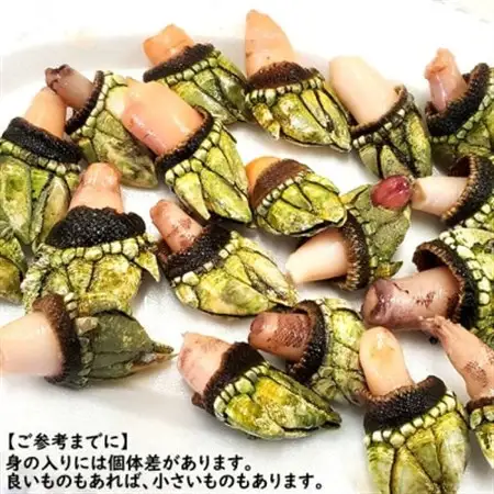 亀の手　500g×4袋　計2kg　兵庫県新温泉町　【配送不可地域：離島】【1089878】