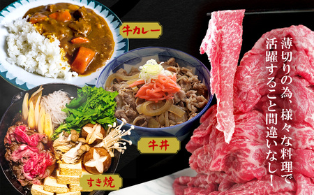 訳あり 牛肉 もとぶ牛切り落とし 1kg（500g×2P） 訳あり 牛肉