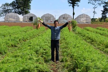 春にんじん 訳あり 有機JAS認証 特別栽培にんじん 10kg　SMF002