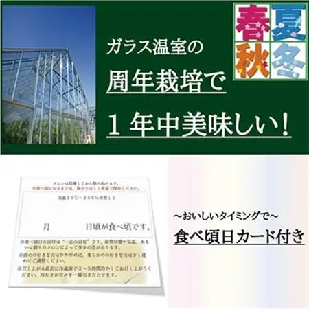 【毎月定期便】クラウンメロン(白等級) 2玉 全12回【配送不可地域：離島・北海道・沖縄県】【4012626】