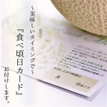 【毎月定期便】【訳あり】アローマメロン 1玉 全6回【配送不可地域：離島・北海道・沖縄県】【4013171】