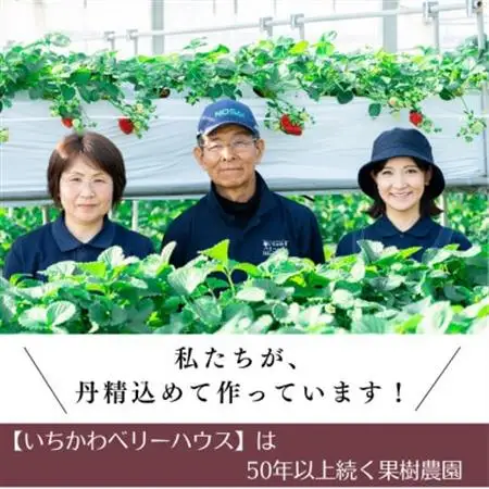 5～6品種食べ放題!いちご狩り体験2名様ご招待!【1542971】