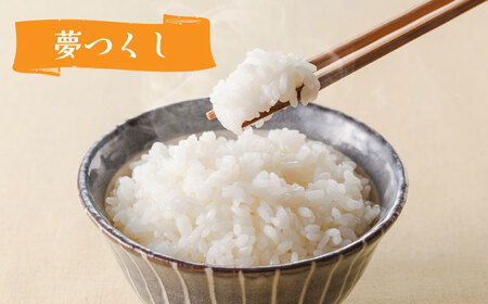 隊員食堂カレー（中辛2個・牛すじ2個）・お米600ｇセット贈答 限定 レトルト 個包装 夢つくし [ABAX006] 