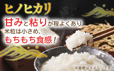 【令和7年度産】兵蔵さんの棚田 米 5キロ 米 5kg 米 お米 5kg [QAT016]