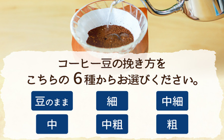 【挽き方選べる】スペシャルティコーヒー豆 5種類飲み比べセット【珈琲鑑定士が選びました】［A-043004］/ コーヒー