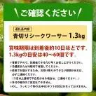 【先行予約】こだわりの青切りシークワーサー 1.3kg 約40～60個 