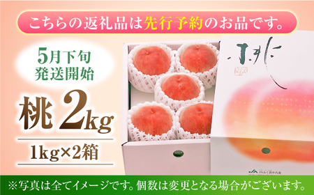 【先行予約 2026年5月下旬より発送】 桃 化粧箱入り 約2kg（約1kg×2箱） / 桃 もも モモ[AFAB062]