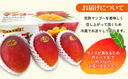 2026年発送【贈答用】極上やんばるマンゴー約3kg【秀品】 完熟 マンゴー 先行予約 冷蔵 大玉 家庭 贈答用 スイーツ スムージー プリン フルーツジュース 国産 フルーツ 果物 果実 南国 沖縄 ギフト 贈り物 プレゼント