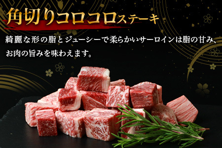 宮崎牛 赤身の角切りコロコロステーキ 500g 牛肉 宮崎牛 精肉 サイコロステーキ ステーキ肉 和牛 黒毛和牛 TK-94